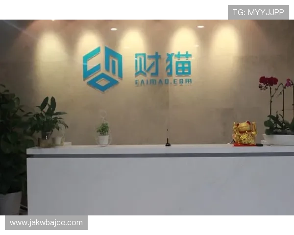 乐投：乐投平台的风险控制策略与安全措施，保障你的资金安全